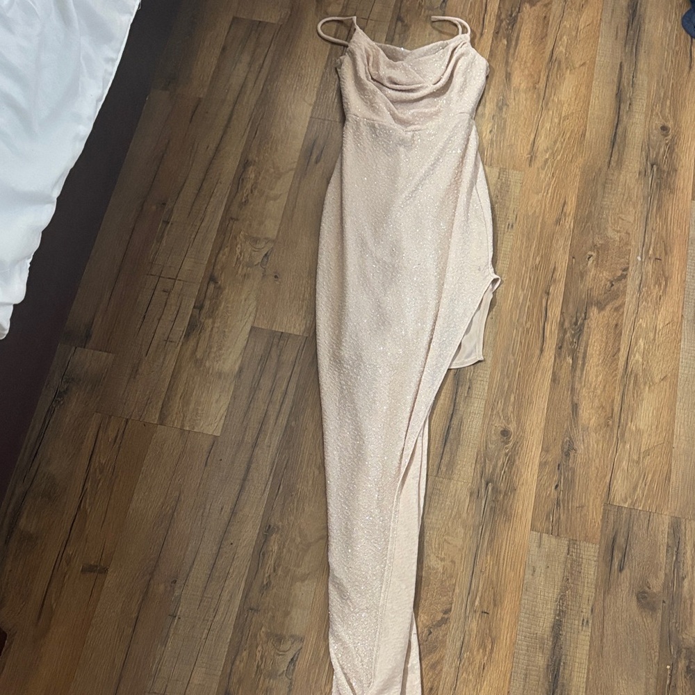 Windsor Glittering Beige Dress